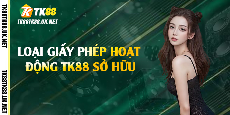 Loại giấy phép hoạt động TK88 sở hữu