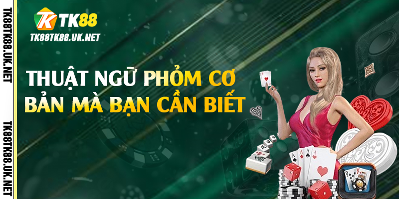 Thuật ngữ phỏm cơ bản mà bạn cần biết